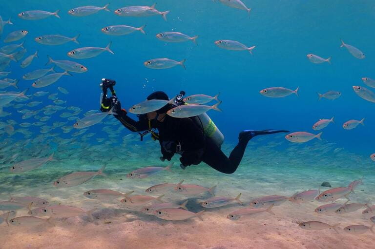 Underwater scuba diver photographer and school of fish. Scuba diver photographing the marine life. Underwater photography from scuba diving in the ocean. Group of fish in the blue sea.